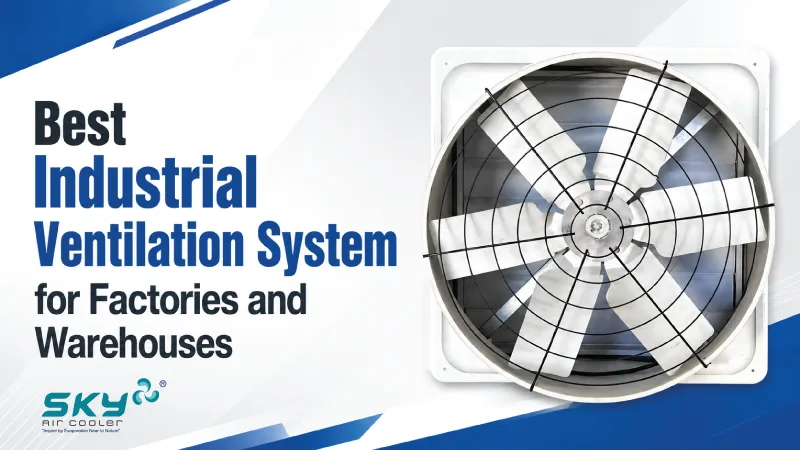 Best Industrial Ventilation System for Factories and Warehouses