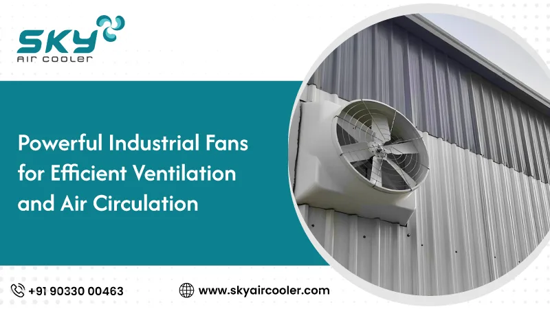 Powerful Industrial Fans For Efficient Ventilation And Air Circulation