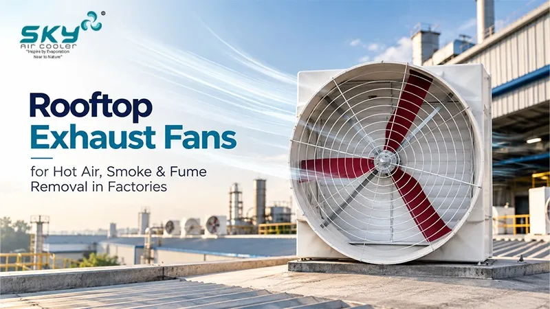 Rooftop Exhaust Fans for Hot Air, Smoke and Fume Removal in Factories