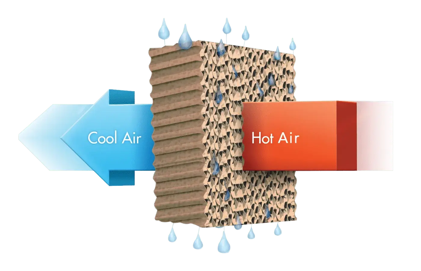 Diagram of a Sky Air Cooler evaporative unit: warm air drawn through the wet cooling pads and cooled air discharged into the space